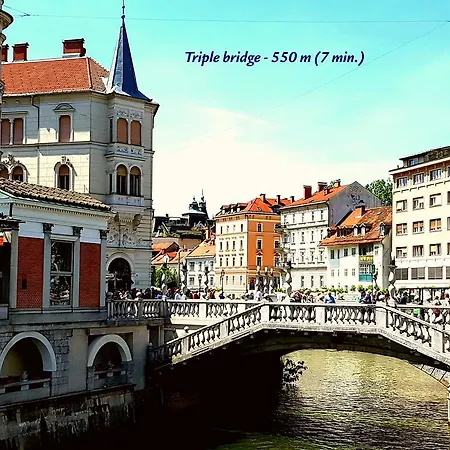 Daire Slovenian Art Story *